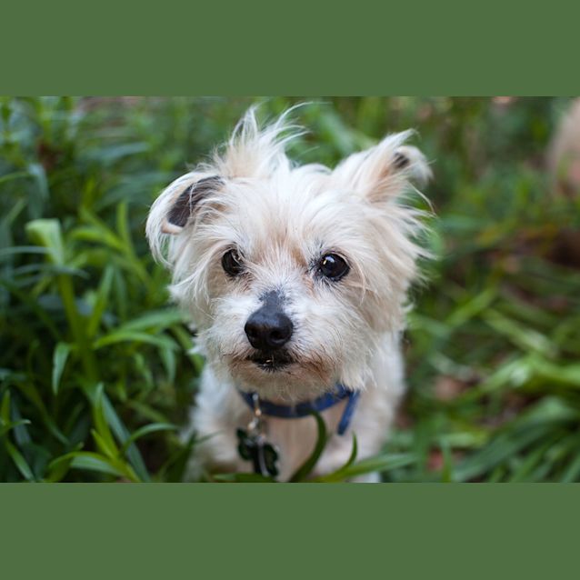 Photo of Tallie 