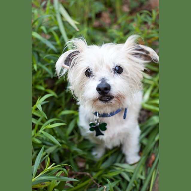 Photo of Tallie 