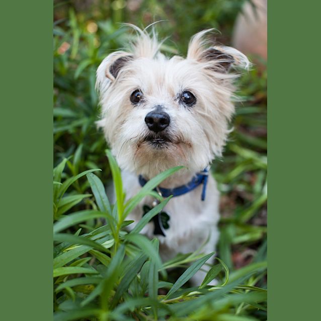 Photo of Tallie 