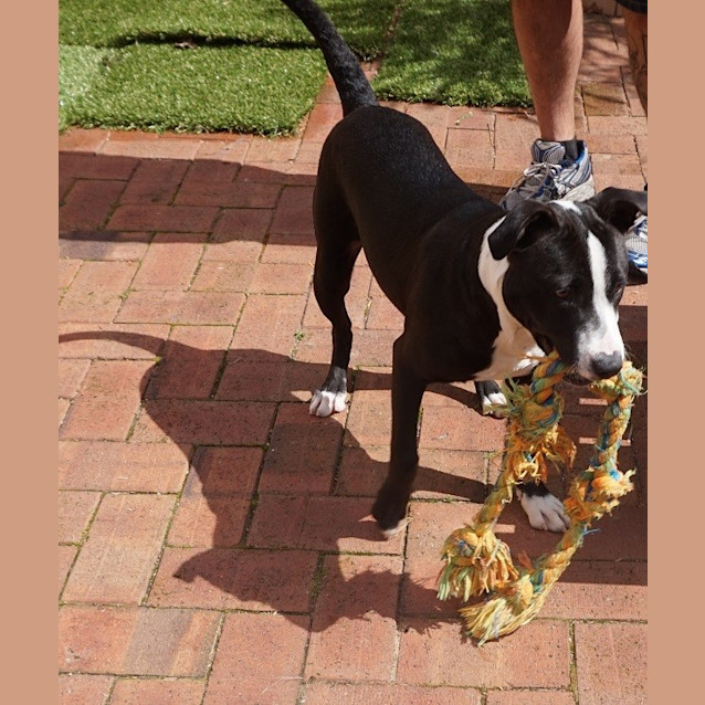Photo of Lola