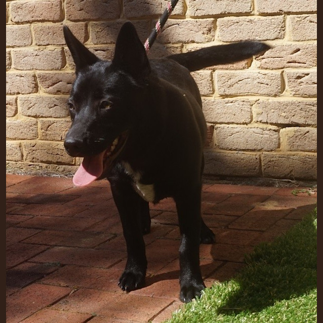 Photo of Ralph