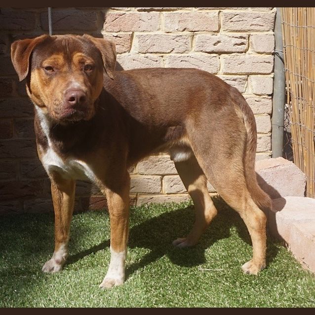 Photo of Capone