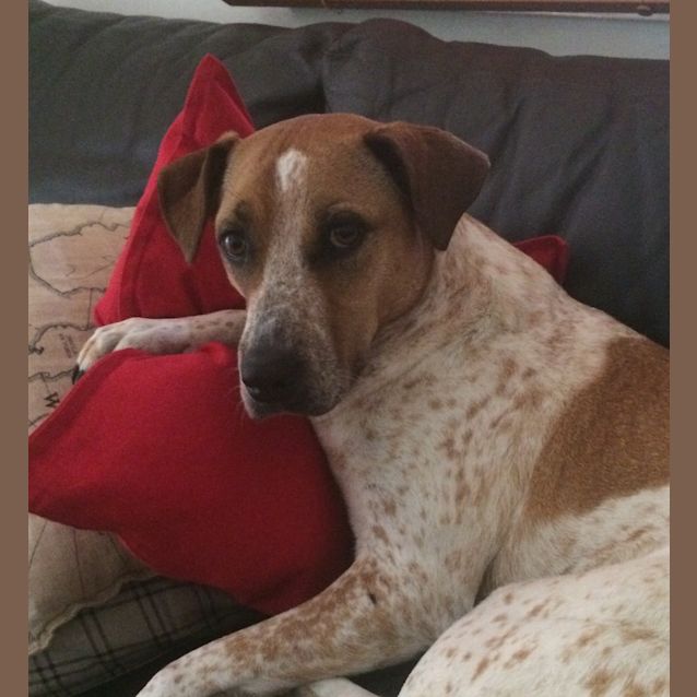 Photo of Roo