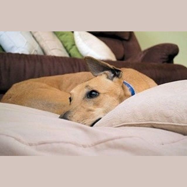 Photo of Solo Is Checking Out Her New Home