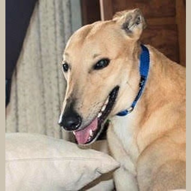 Photo of Solo Is Checking Out Her New Home