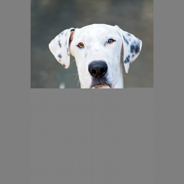 Photo of Daria