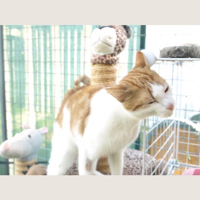 Photo of Oliver