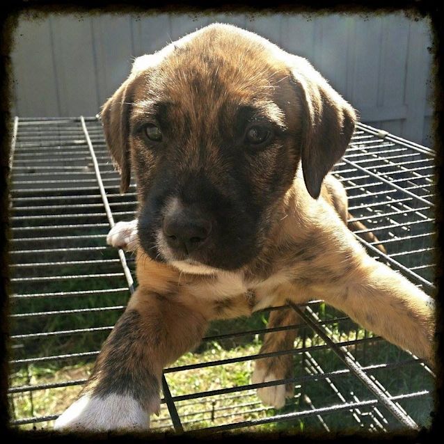 Photo of Busta