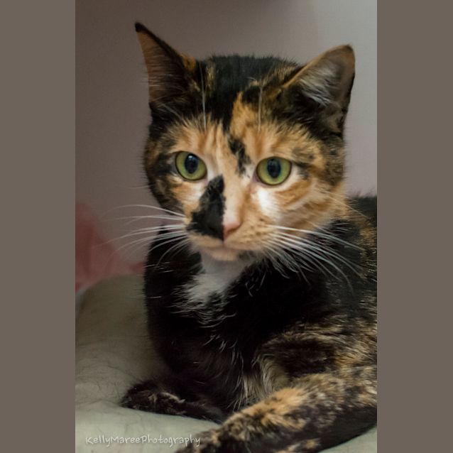 Photo of Ivy