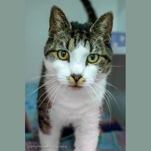 Photo of Cleopatra