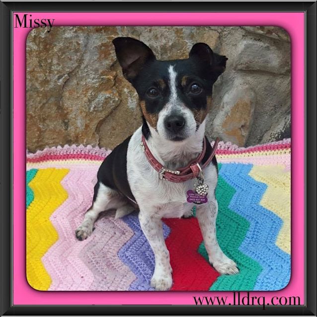 Photo of Missy