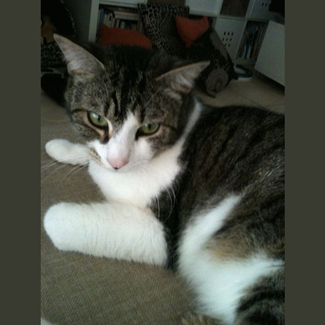 Photo of Lenny 