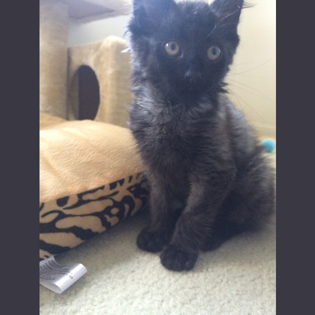Photo of Zeus