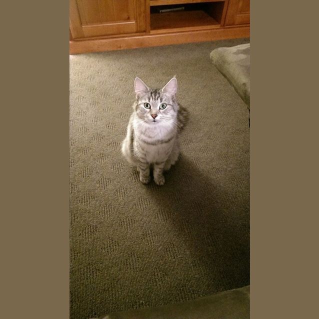 Photo of Elsa