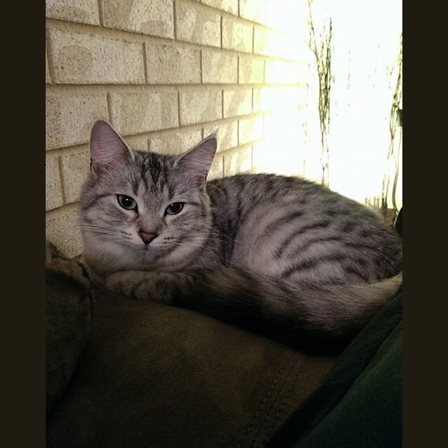 Photo of Elsa