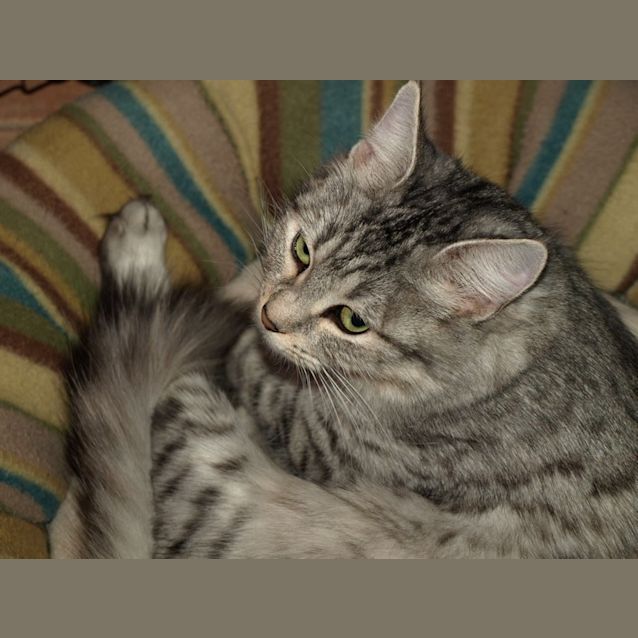Photo of Elsa