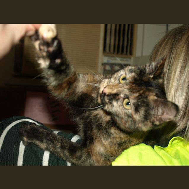 Photo of Gem