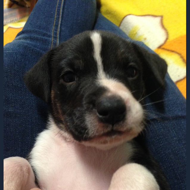Photo of Leroy