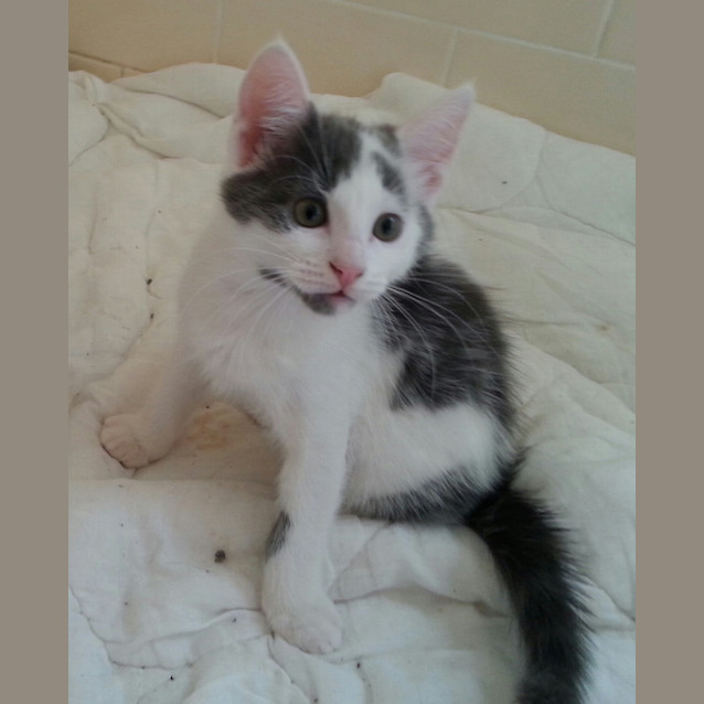 Photo of Molly