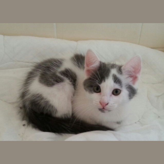 Photo of Molly