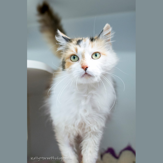 Photo of Lillian