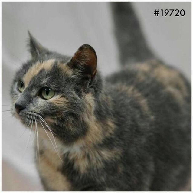 Photo of Addie *On Trial*