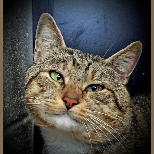 Photo of Monty