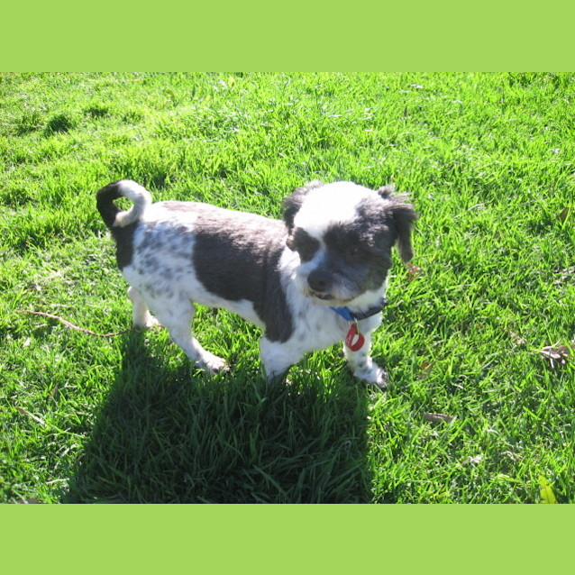 Photo of Buttons