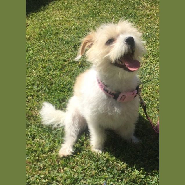 Photo of Myla *On Trial In Her New Home*