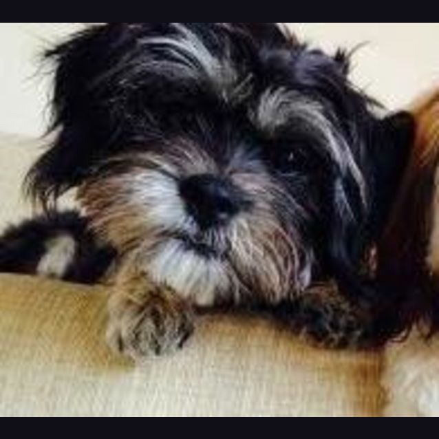 Photo of Mimi