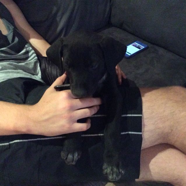 Photo of Oscar