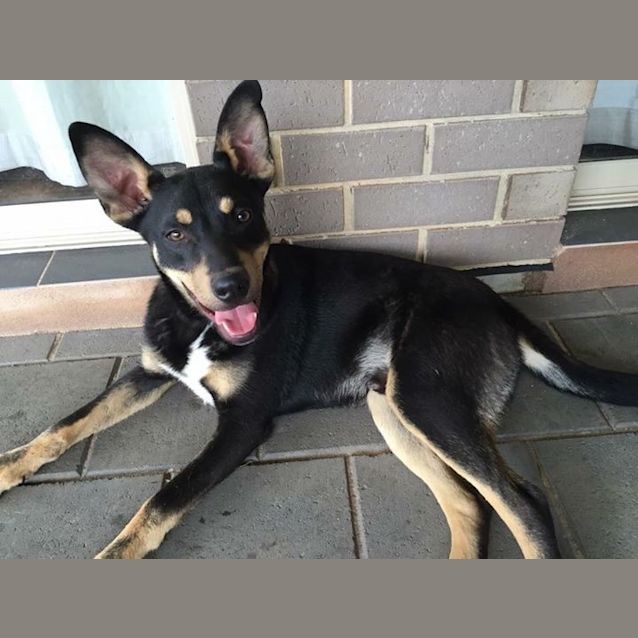 Photo of *On Trial* Rusty