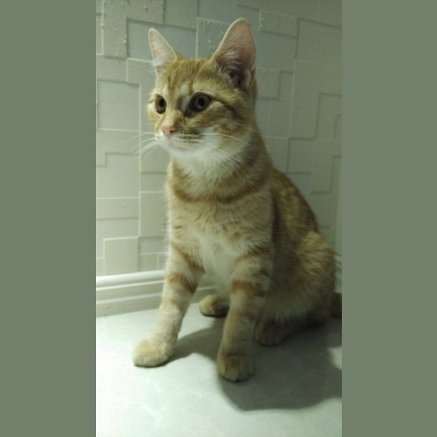 Photo of Sammy
