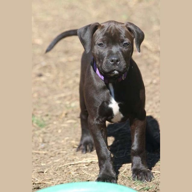 Photo of Addie