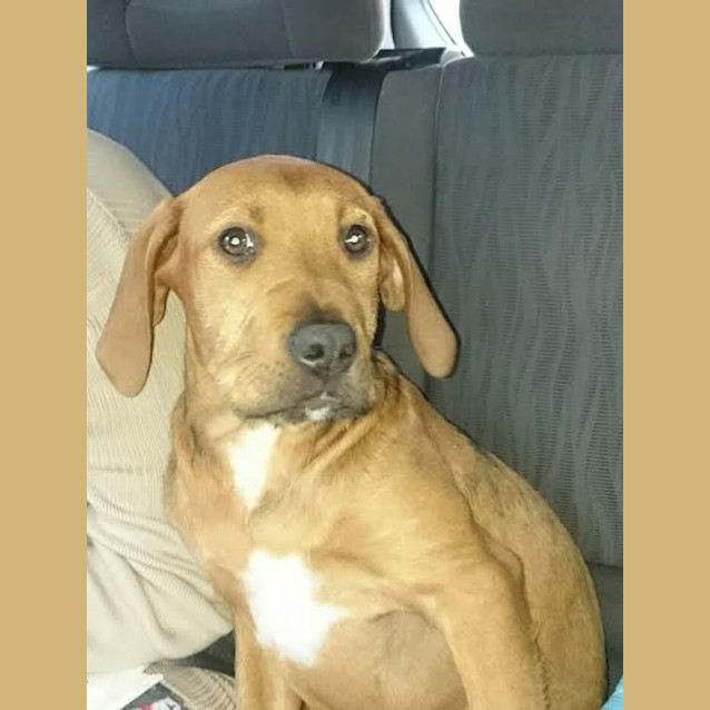 Photo of Chancey