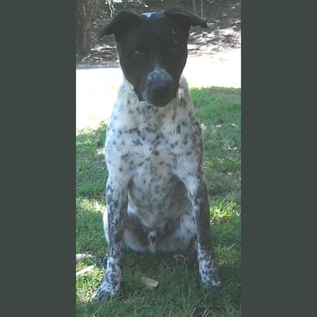 Photo of 095 1780 Gus
