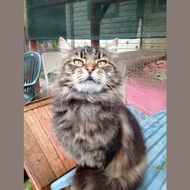 Photo of Claire De Lune