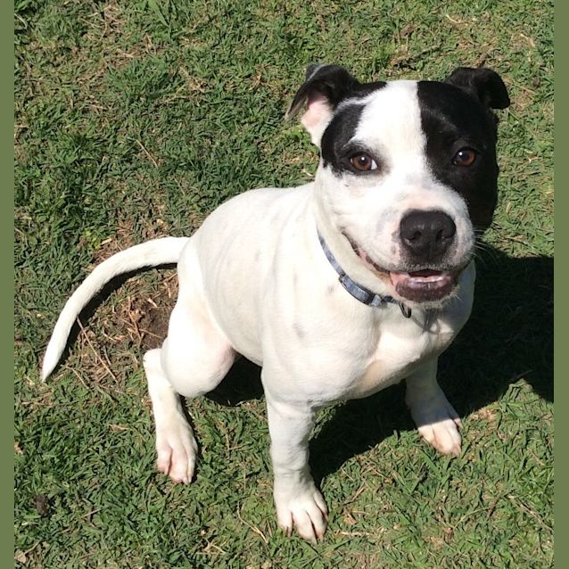 Photo of Kaos