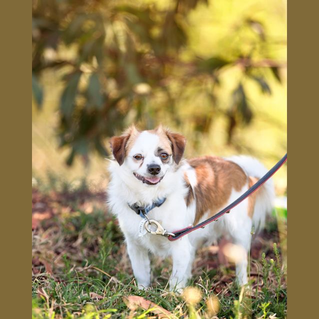Photo of Winston