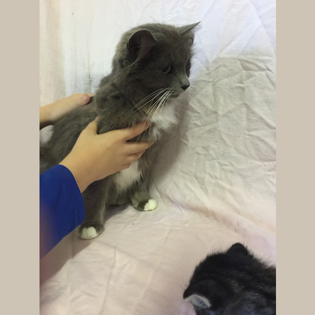 Photo of Willow Reduced To $80