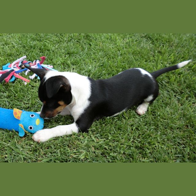 Photo of Astro *On Trial In His New Home*