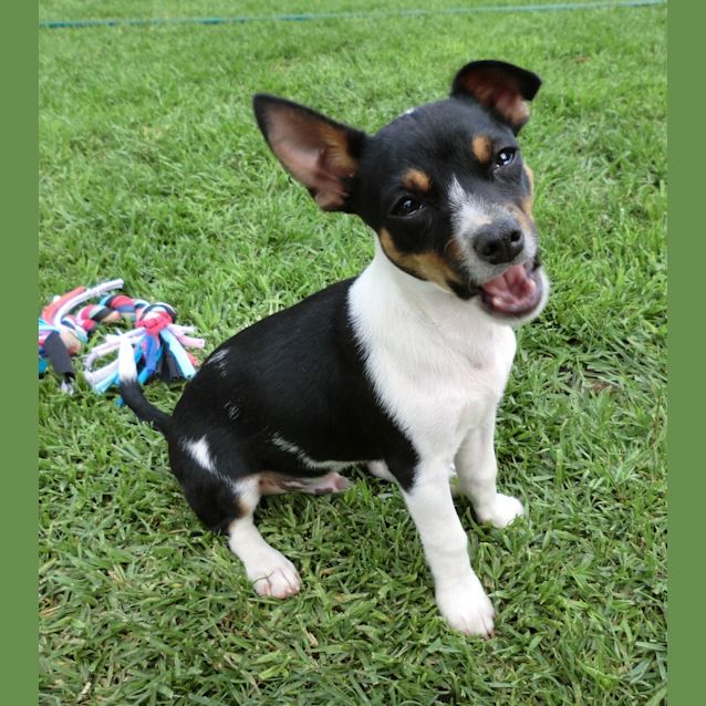 Photo of Astro *On Trial In His New Home*