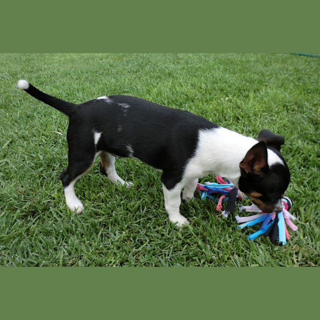 Photo of Astro *On Trial In His New Home*
