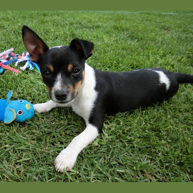 Photo of Astro *On Trial In His New Home*