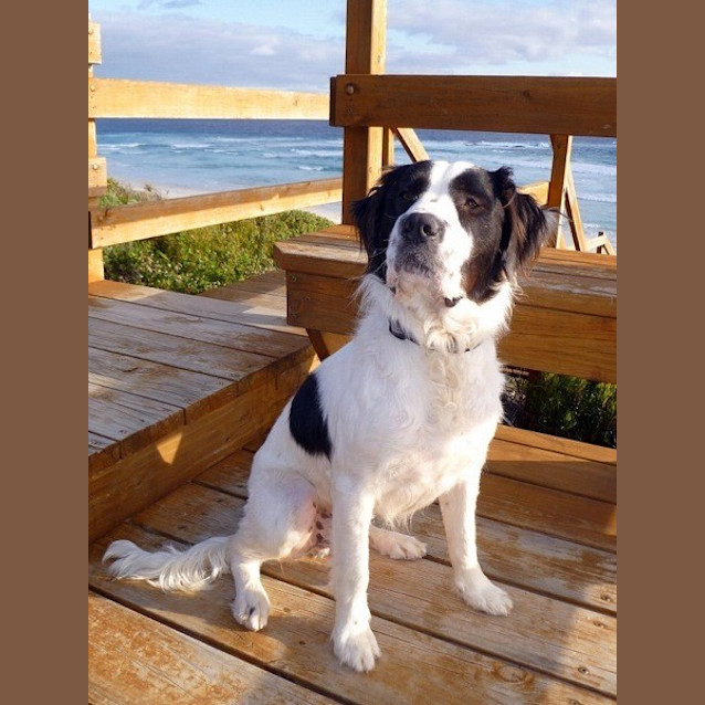 Photo of Bernie Ed0027 