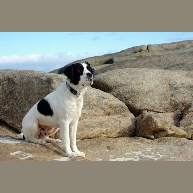 Photo of Bernie Ed0027 