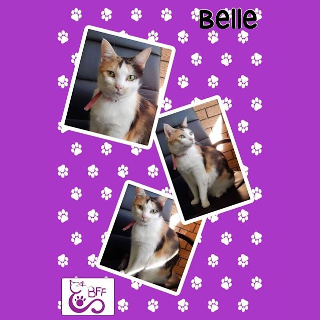 Photo of Belle 