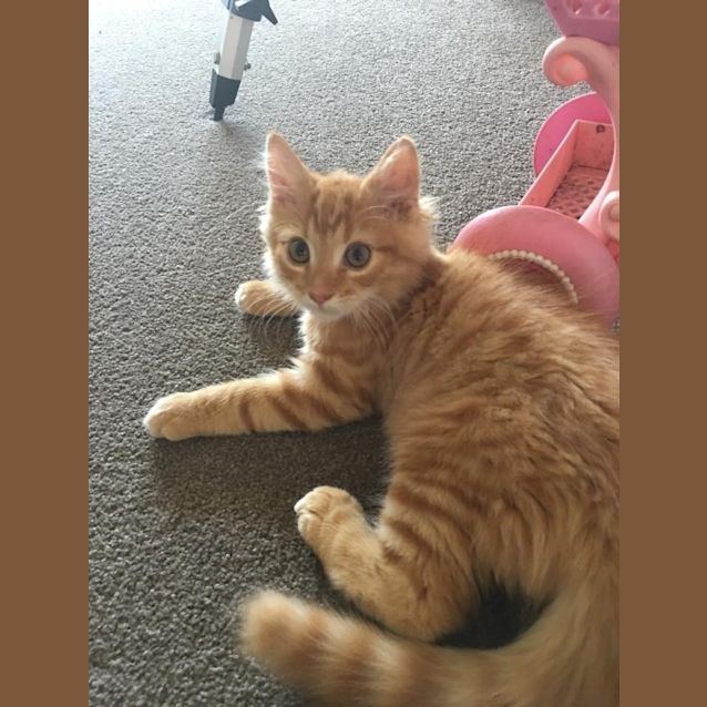 Photo of Charlie