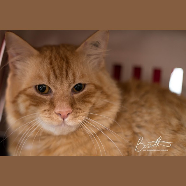 Photo of Fletcher
