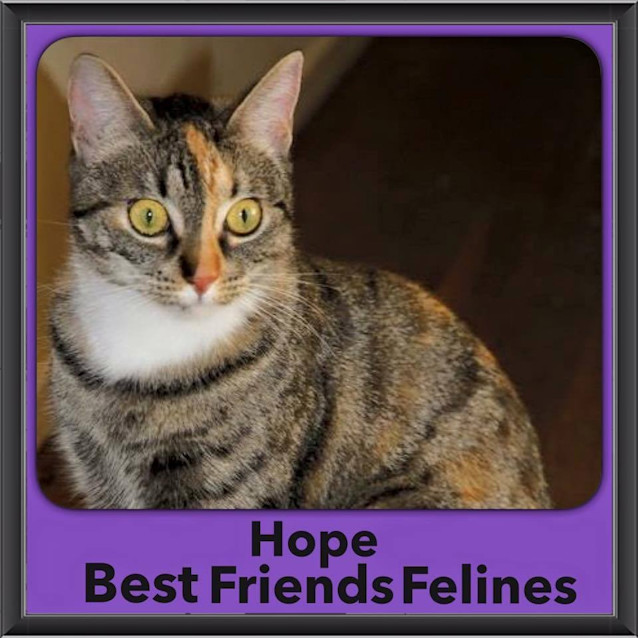 Photo of Hope 